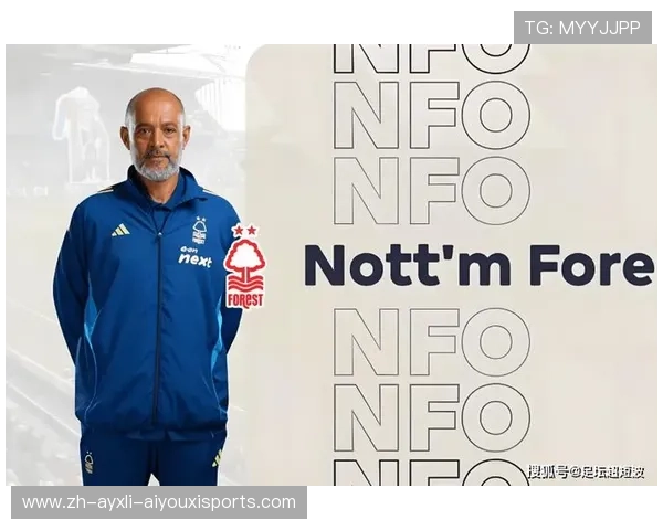 英超球队的引援策略