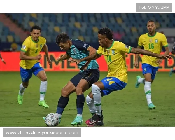 巴西甲级联赛赛季时长揭秘